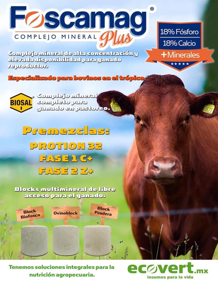 revista_agroreg's tweet photo. Seguimos invitando a que uses #FoscamagPlus y #Biosal, los minerales que necesitas para fortalecer la nutrición de tu ganado bovino en el trópico. https://t.co/Jir9UyPH3c