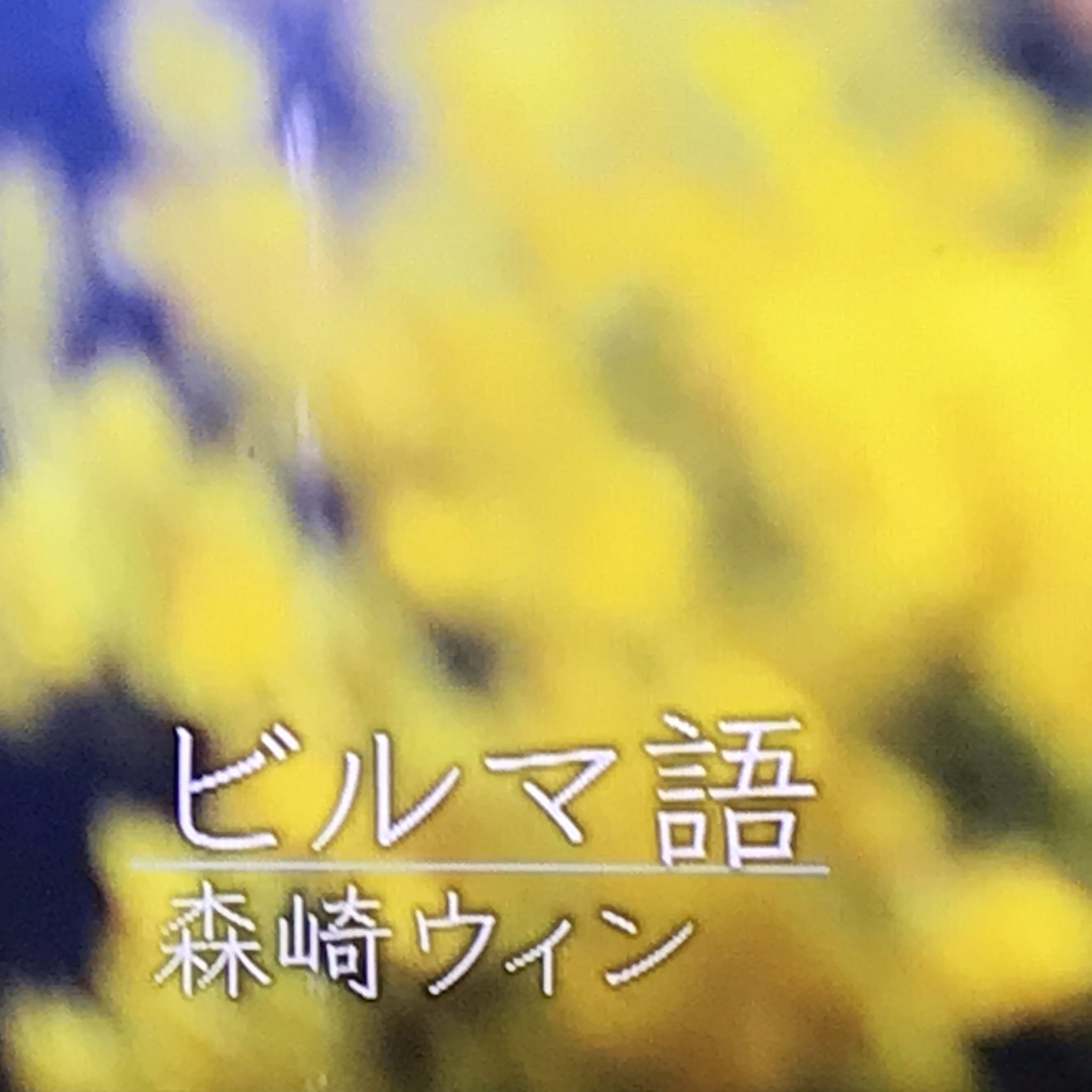 Matsuatsu16 先日 Nhkで放送された 花は咲くスペシャル 多言語版花は咲く での表記 ちゃんと ビルマ語 T Co Nrpyev1d2g Twitter