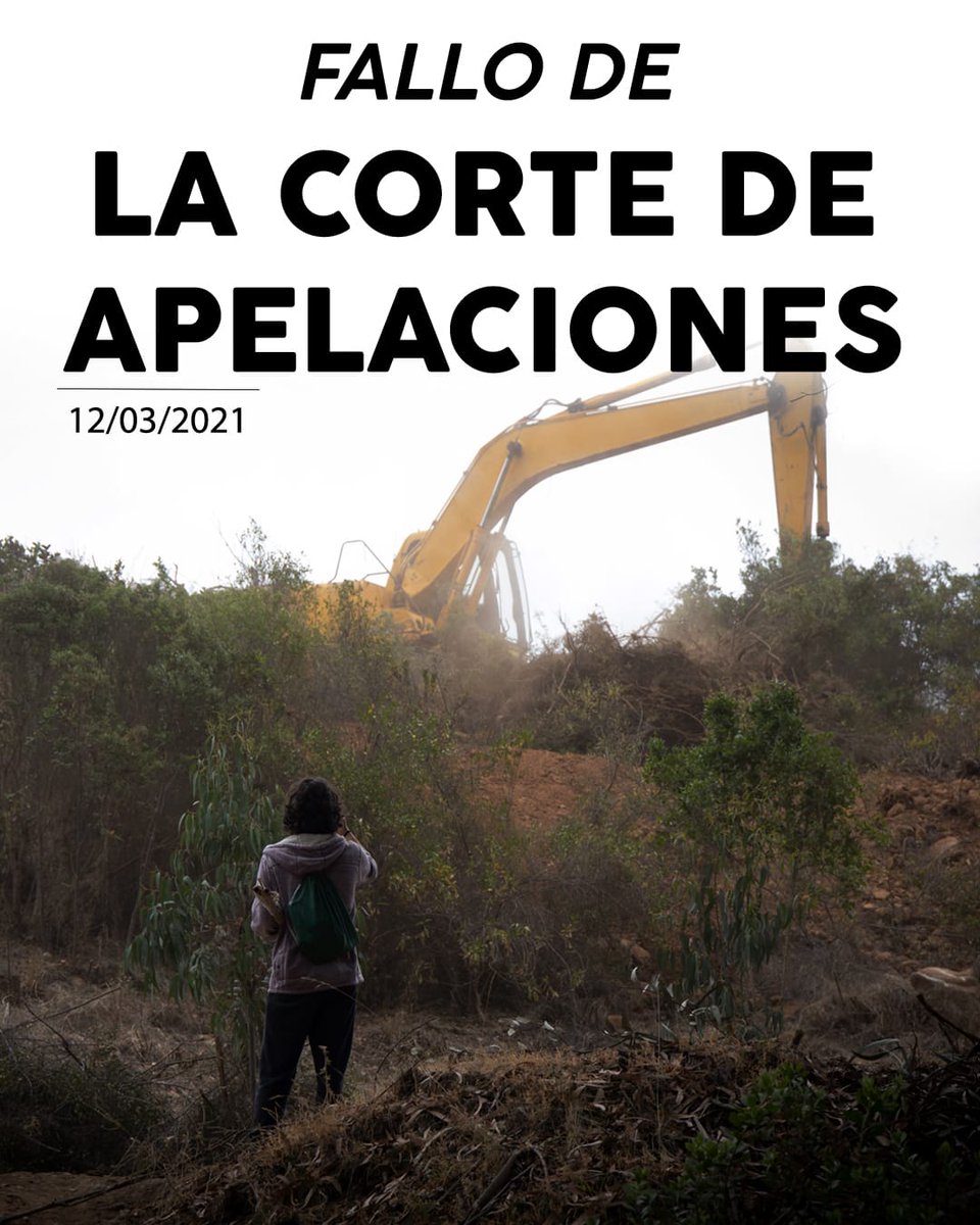 🔴🔴
Hoy la corte de apelaciones de Valparaíso rechazó el recurso de protección interpuesto por la agrupación. Usando jurisprudencia en desuso en la materia hace más de 5 años.
Por lo tanto llevaremos el caso a la corte suprema. ¡Aquí nadie se rinde hasta salvar el bosque! 🌲🌱