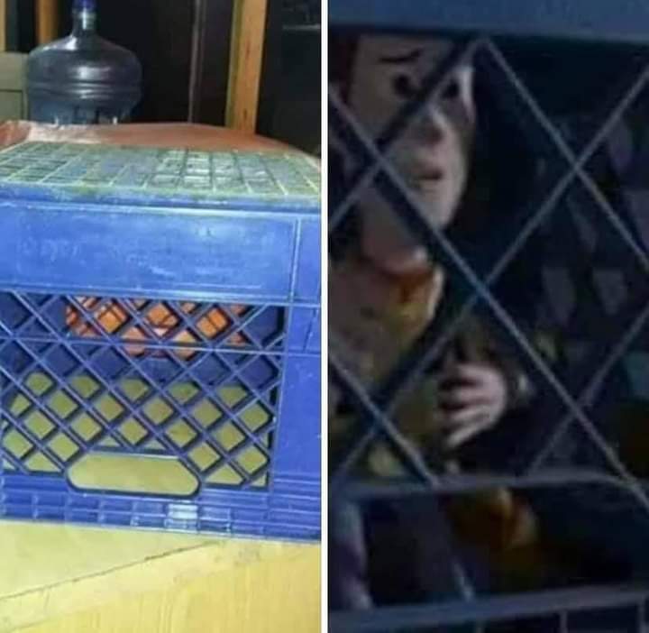JesusOm03218037's tweet photo. Vendo caja donde encerraron a Woody, trato serio!😁 https://t.co/RbSjWtO63s