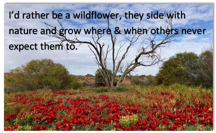 Truth I Am tweet media