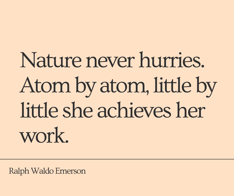 KatzStories's tweet photo. #Nature never hurries.
Atom by atom, little by
little she achieves her
#work.

#quoteoftheday #writer #inspirational #selflove #PositiveVibes #happiness #entrepreneur #business #Motivation #love #healthcare #Joy #Entertainment #BeKind #poetry #winning #success #life #WorkFromHome https://t.co/5st3JtqNjO