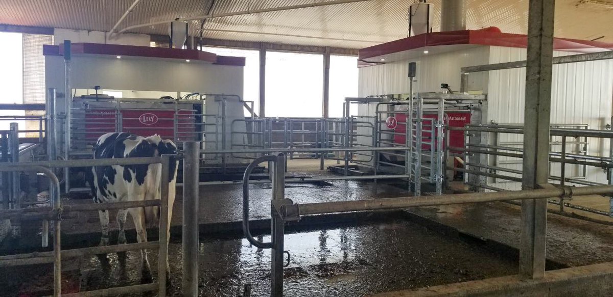 GRRobotics's tweet photo. Congratulations to the Kolb family with their startup of 3 #Lely A5’s! @hoofcount footbaths and Boetech hoof sprayers on every robot ensures every cow receives the best preventative care. Feed pushing is taken care of by the Lely Juno, guaranteeing 24/7 availability to the ration https://t.co/8AfWxtRzf2