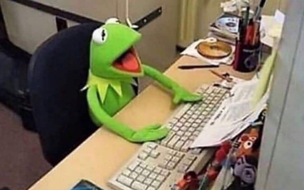 stfufeeIs's tweet image. wifi: connected 
me: well fucking act like it