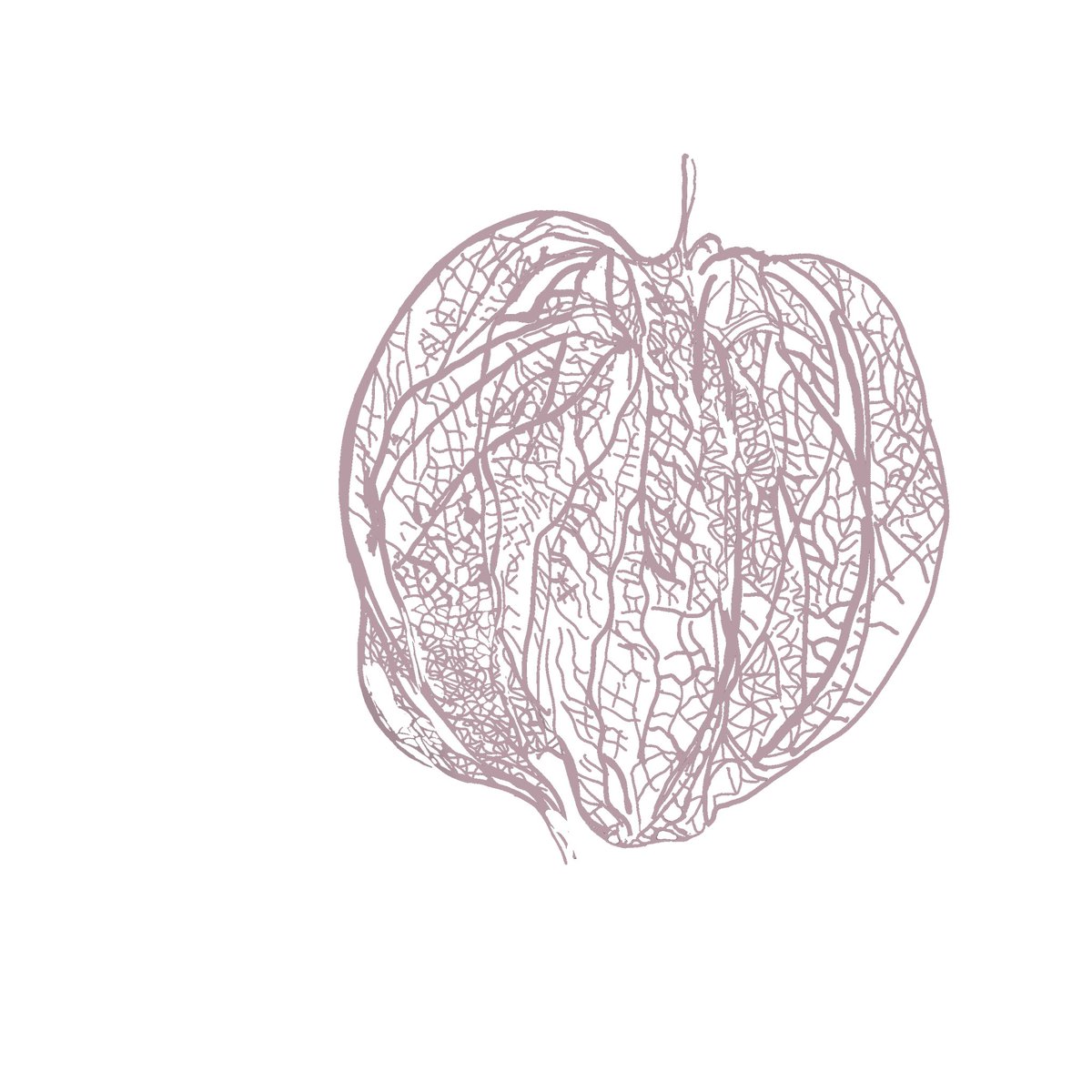 Clara Jané Forch (@cjaneforch) on Twitter photo 