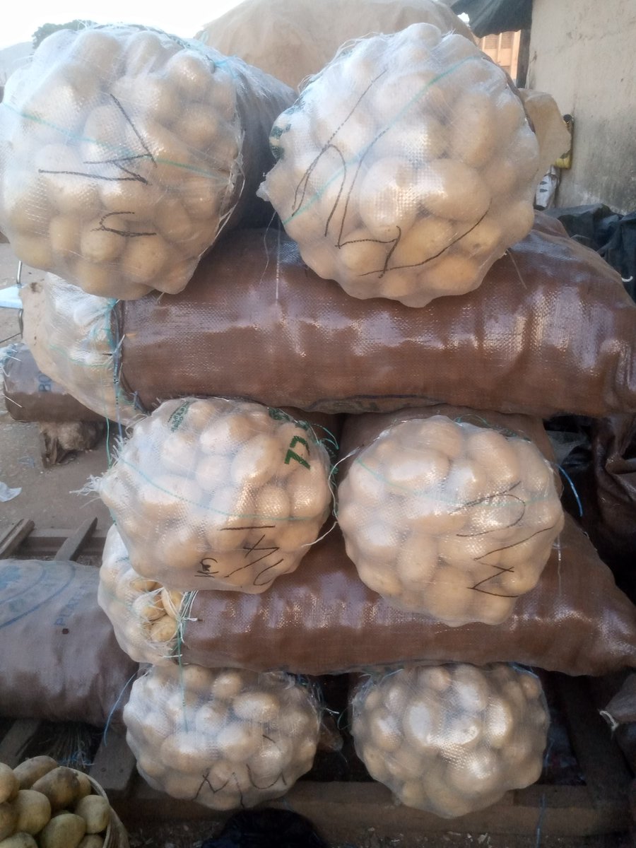 MashingilMuham1's tweet image. Call this 08109167592......we bring it closer to you.........