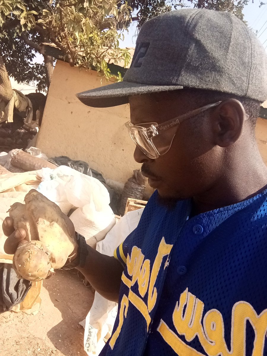 MashingilMuham1's tweet image. We deliver potato nation wide.,..08109167592.. call us