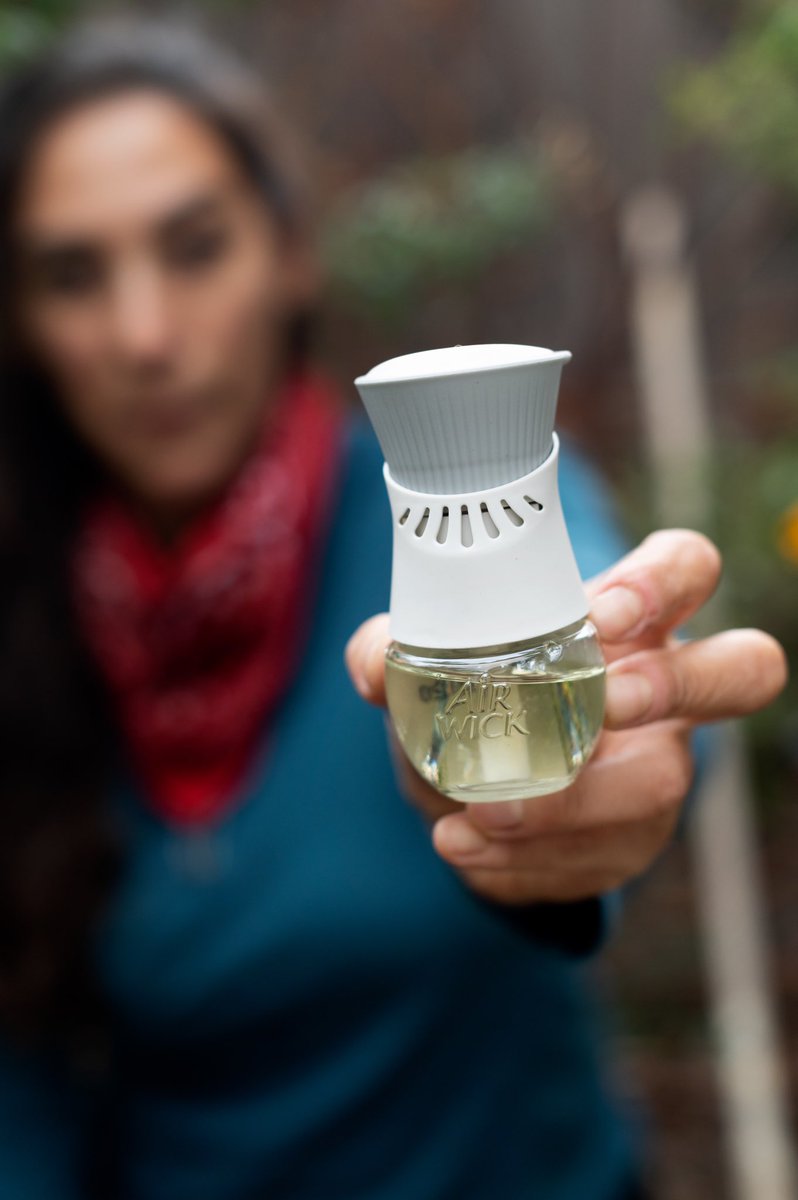 It's National Plant a flower day:) Yay! 
So Banjo and I have set out to plant some wildflower seeds :) #ad
Air Wick Scented Oils and World Wildlife Fund have set out to protect and create millions of square feet of wildflower meadows
#PlantWildflowers
<a href="/airwickus/">Air Wick US</a>  <a href="/World_Wildlife/">World Wildlife Fund</a>