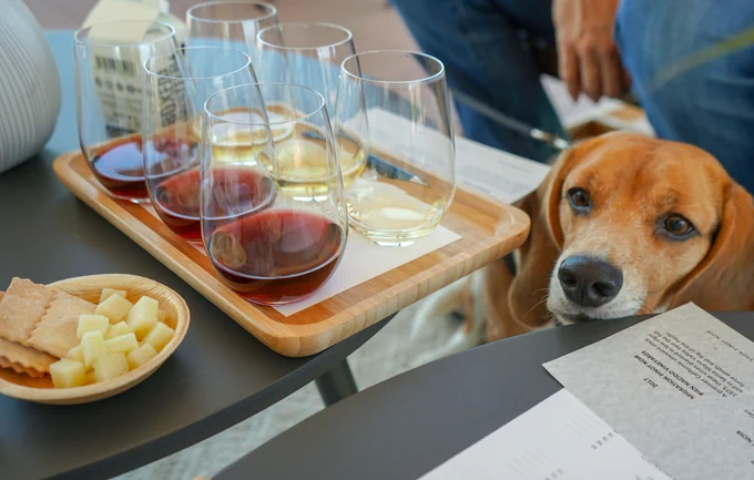 Image from Migration (@migrationwine)