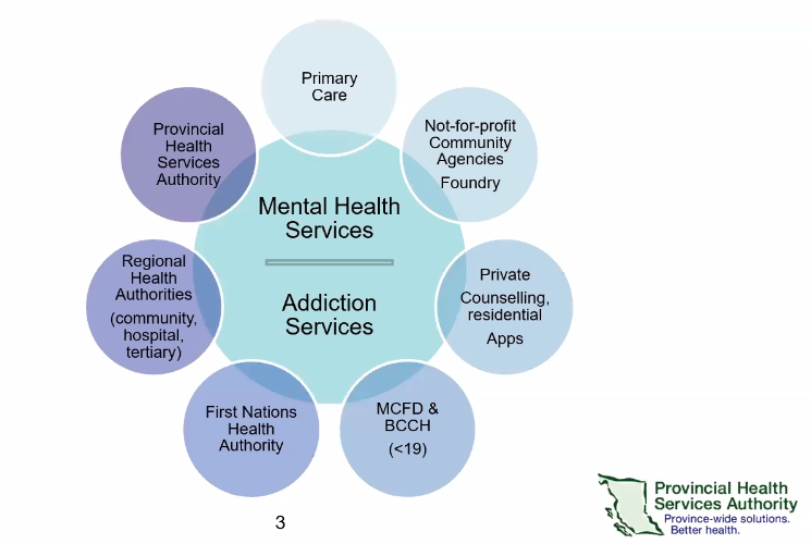 BCMHSUS's tweet photo. As this image shows, mental health and addiction services are still siloed but by working together, we can help ensure our patients and families don't fall through the cracks #BCConcurrentDisorders https://t.co/3fnBb9oImC