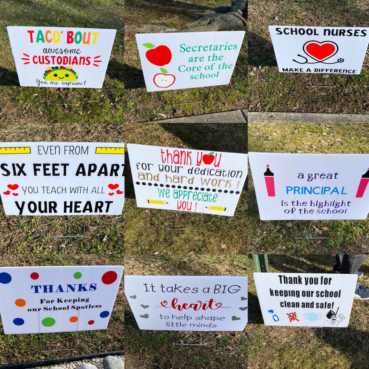 Tara Garzone tweet media