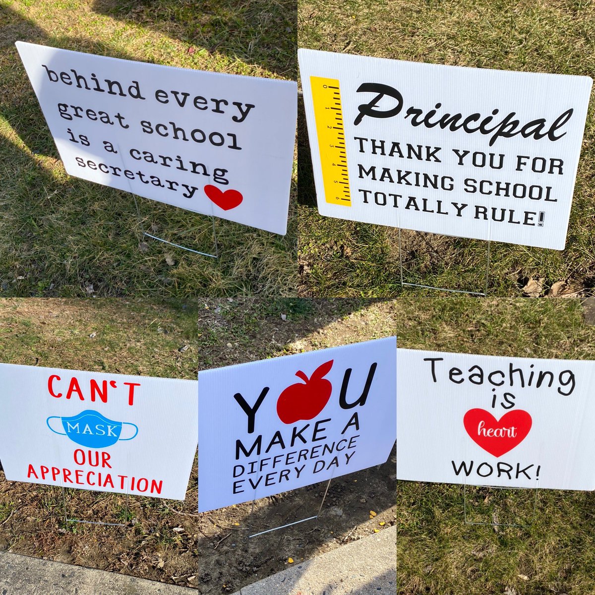 Tara Garzone tweet media