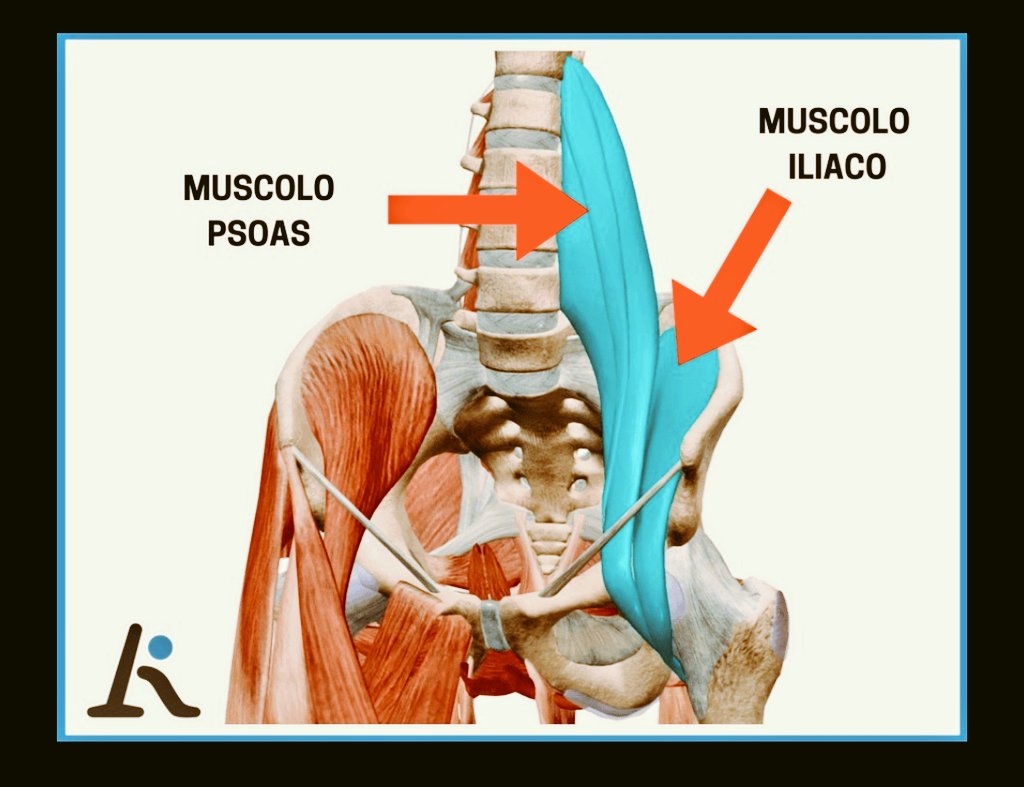Ledbowski's tweet photo. #PilloLed
Ho fatto una settimana ad antinfiammatori, facevo fatica ad alzarmi senza usare le mani.
Colpevole? ileo psoas.

Stasera son riuscito a fare pochissimo, e ad ogni torsione o piegamento una coltellata.
Mi scazza fermarmi adesso.😡 https://t.co/DJQ3awZTFa