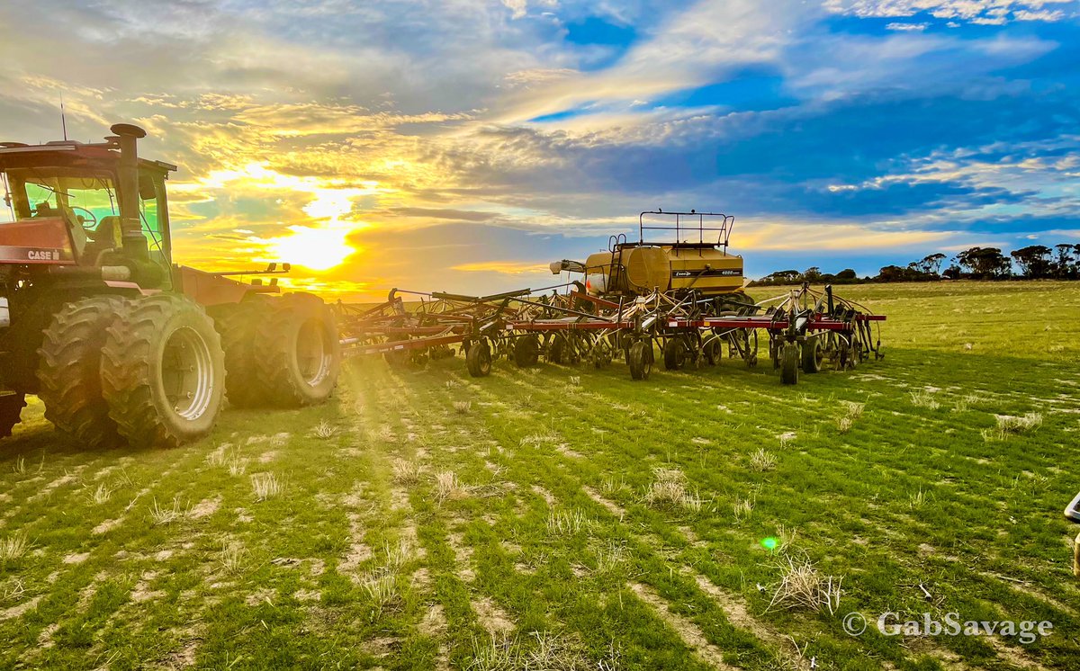 SavGab's tweet image. Always a first time for everything @tolgafarm - Seeding in the 2nd week of March!  Planting Illabo wheat 🌾 it’s a winter wheat variety. A duel purpose winter wheat for grazing 🐑 and grain🌾 production. 🤞 there is enough moisture in that soil🌱 Paddock has been planted!