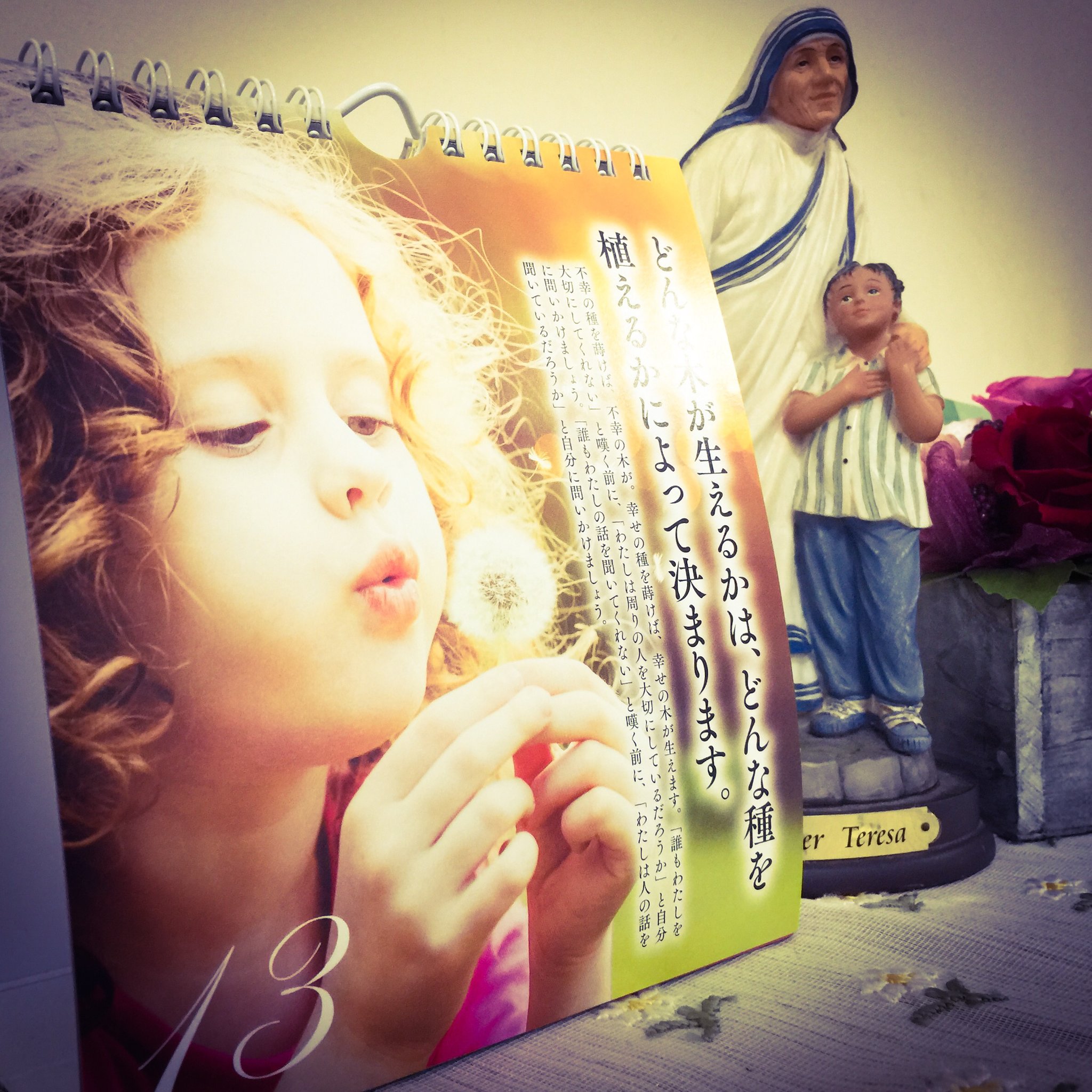 片柳弘史 どんな木が生えるかは どんな種を植えるかによって決まります マザー テレサ 喜びや感謝 いたわりの種を蒔けば幸せの木が 苛立ちや不満 怒りの種を蒔けば不幸せの木が生えるでしょう 種を蒔くのは私たち自身です 日めくり 超訳