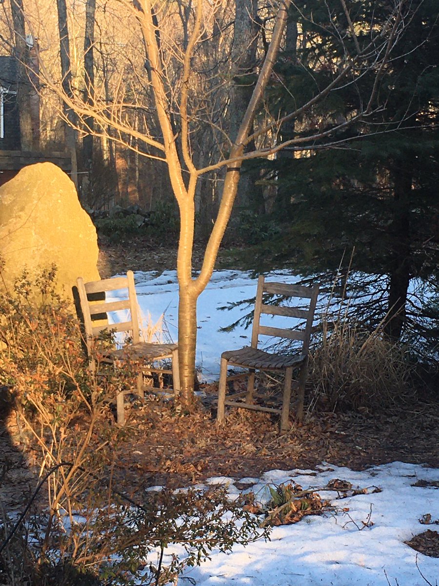 ChristineBemis2's tweet photo. @EDUC8_2_EMPOWER @MatthewXJoseph @MRsalakas @donna_mccance @ArielAdrian @Teacherchick27 @msjingold @dgoble2001 @RavesiWeinstein @hayes_melisa ❤️❤️#kellybeauty ♥️just loved today’s weather ~ #yardpics 📸 https://t.co/XPMN45w30K