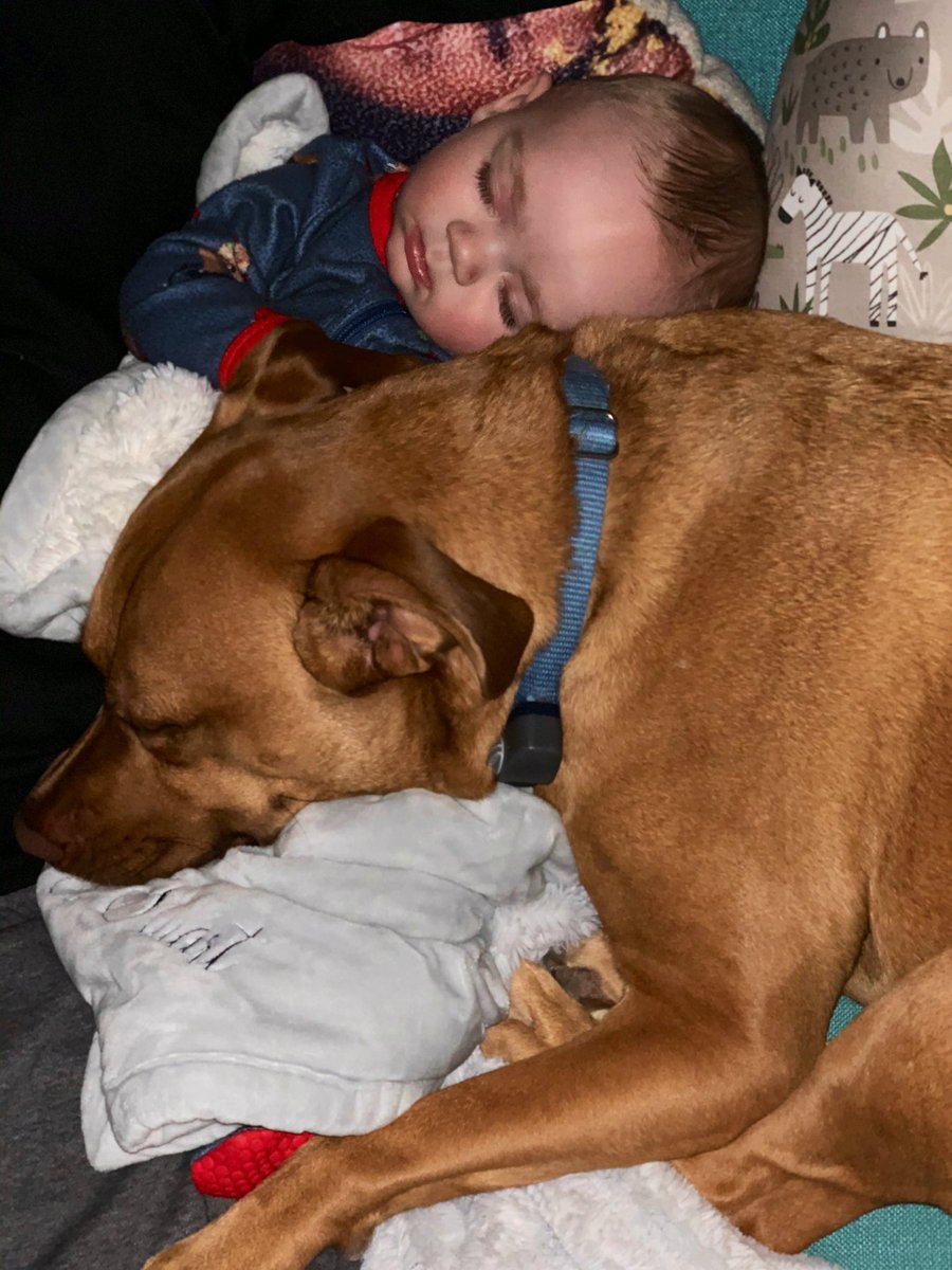 flirtaylady's tweet photo. Kinda weird posting pics of my kid and @helennicole20 seems to be in every single one. 🤦🏼♀️🤣🤷🏼♀️ Gotta crop out the custom pillow she gave me of she and I traveling to Cuba. But she forever is lurkin 🤣 #lowkeytho https://t.co/o2B0M9D4mY