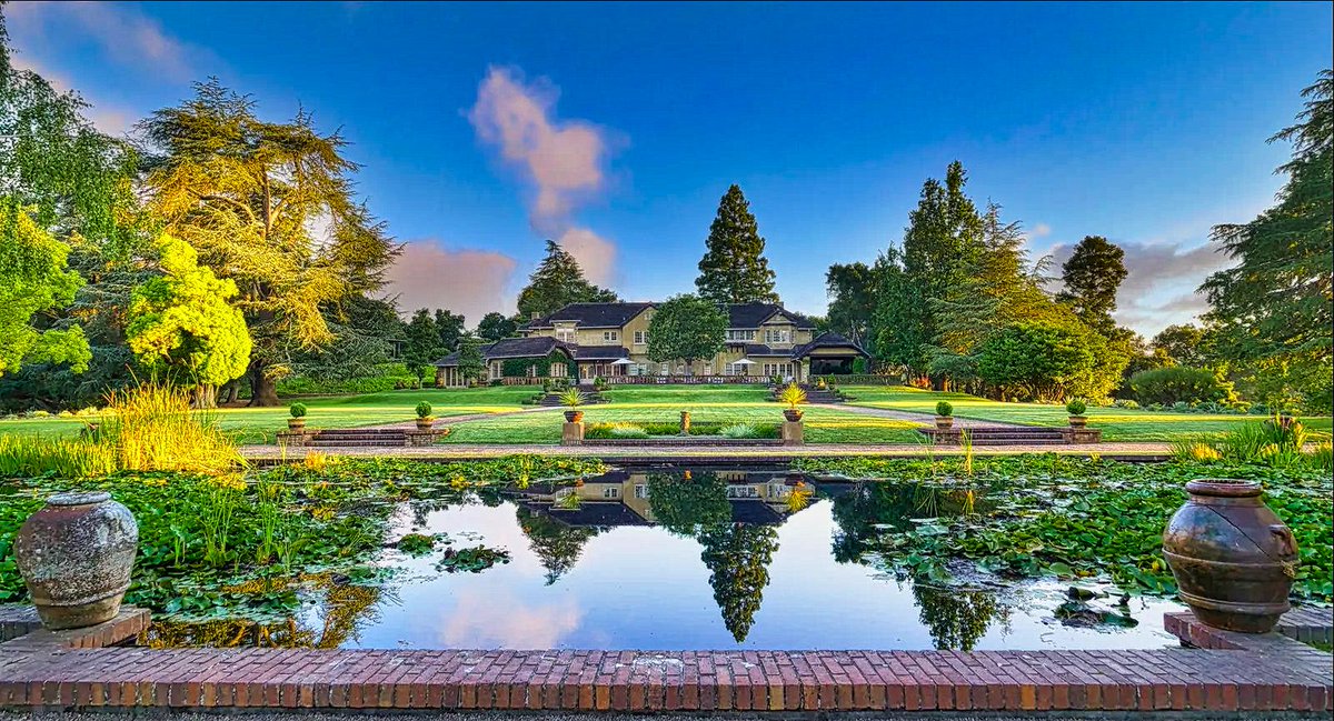 Black Label Real Estate tweet media
