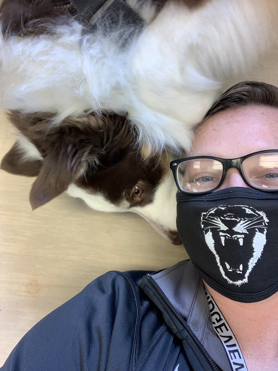 JessTeachesASD's tweet photo. There’s no better way to kick off Spring Break!
These dog therapy visits are such a wonderful way to decompress for students AND teachers...I love having the opportunity to make this happen! ❤️🐶 #DogTherapy https://t.co/6A3r7sVpCH