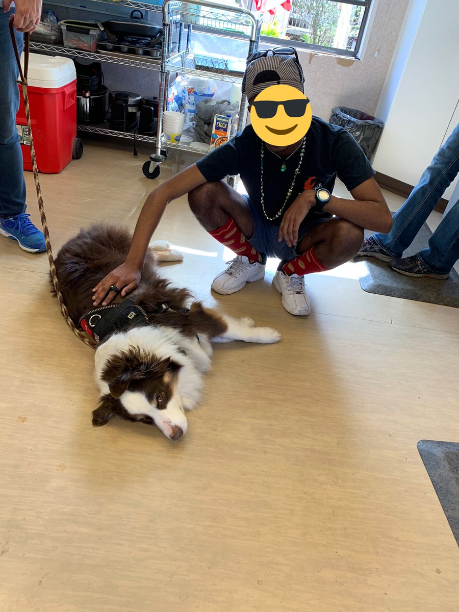 JessTeachesASD's tweet photo. There’s no better way to kick off Spring Break!
These dog therapy visits are such a wonderful way to decompress for students AND teachers...I love having the opportunity to make this happen! ❤️🐶 #DogTherapy https://t.co/6A3r7sVpCH