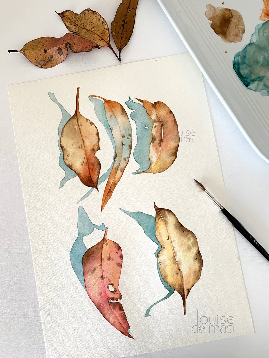 Leaf Study- new watercolour. Video tutorial here: youtu.be/4XUa1cL27wc
#watercolor #watercolour #artoftheday #painting