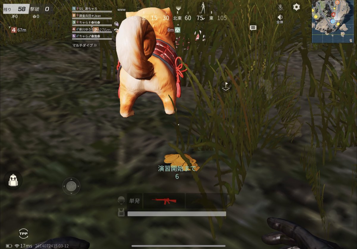 あぶねー💦朝からう○ち踏みそうになったじゃんよー🥺
飼い主ちゃんと拾ってぇ❓🥺