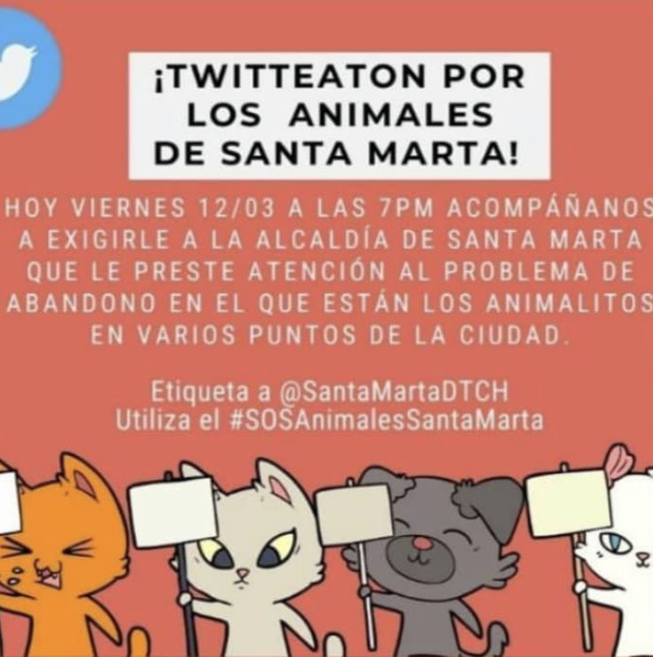 MoniMoniGuzman tweet picture