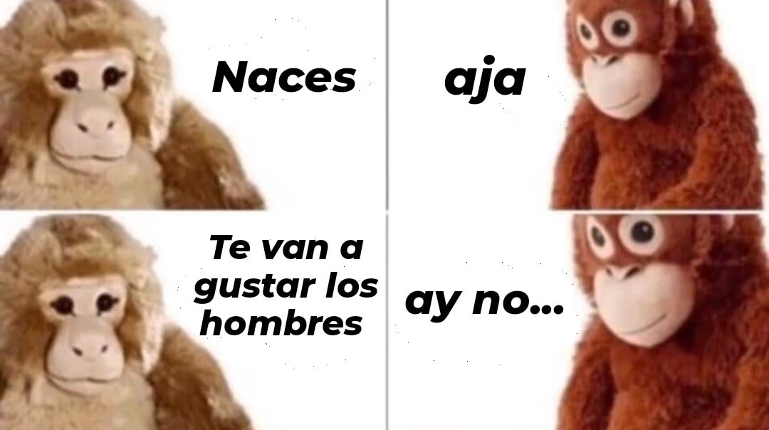 ache frío (@sancatosadcat) on Twitter photo 