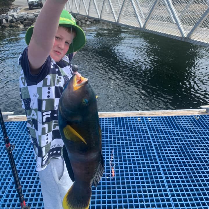 Leigh Smith's 10 year old caught this wrasse at Clearance Point
 #kidsfishing #takeakidfishing #creatingmemories #outdoors #wrasse