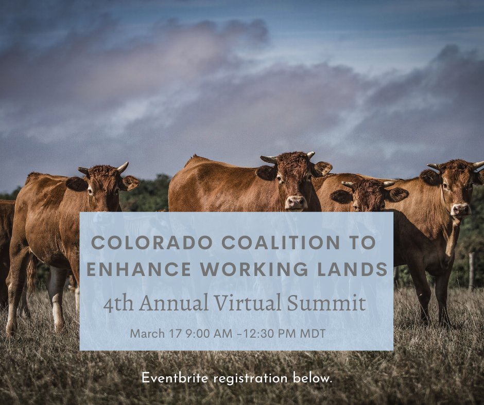 cocewl's tweet photo. There's still time to register for the 4th Annual CO-CEWL Summit on March 17th! This virtual event will have producer spotlights, working group meetings, and  discussions about the future of CO-CEWL. https://t.co/JrjActOs0s https://t.co/AnT00ixuzS