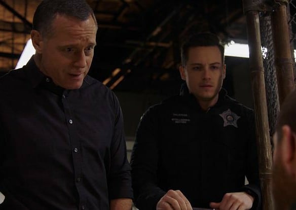 Happy Birthday, Jason Beghe 