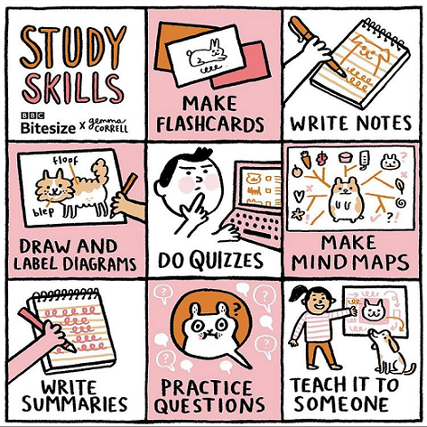 CentresEd's tweet photo. A key part of building study skills is taking into account the unique way each student works with information! Try out a variety of studying methods in order to see what works best for you. Don’t forget the importance of time management and organizational techniques. https://t.co/cXPnDtl6L3
