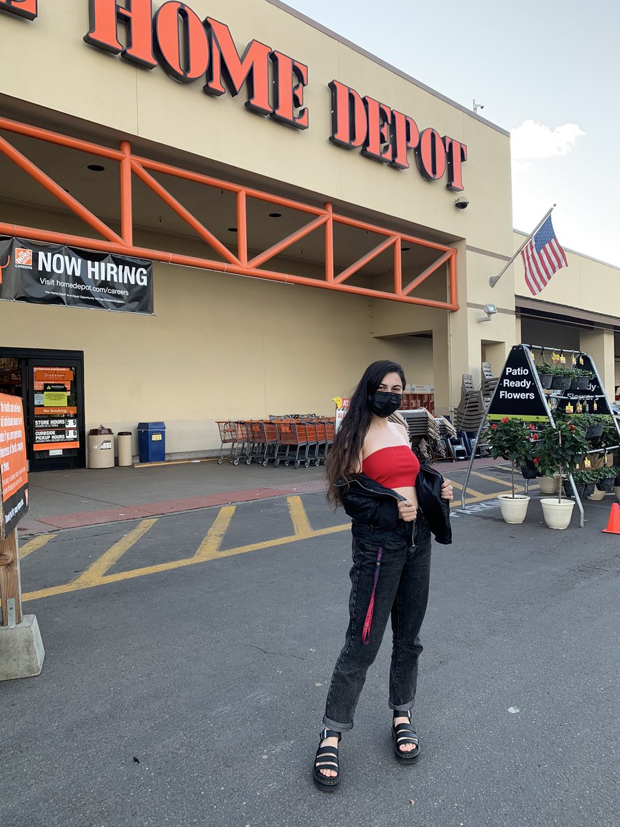 cat_attack_'s tweet image. Excuse me can anybody tell me what a hammer is? 🤔