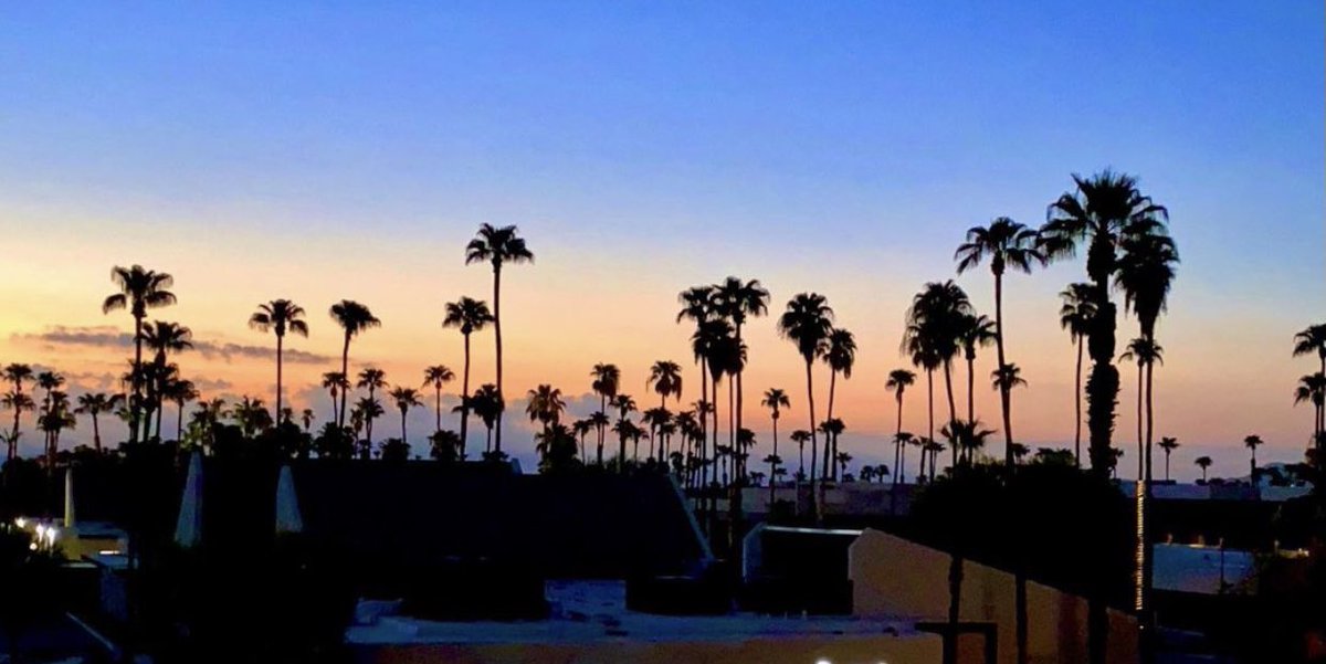 HiltonPSprings's tweet photo. Palm Springs Nights 

#hiltonpalmsprings #palmtrees #nightsky #sunset #desert #coachellavalley #visitpalmsprings 📷: veenatalie via Instagram https://t.co/s0G4CDgZSO