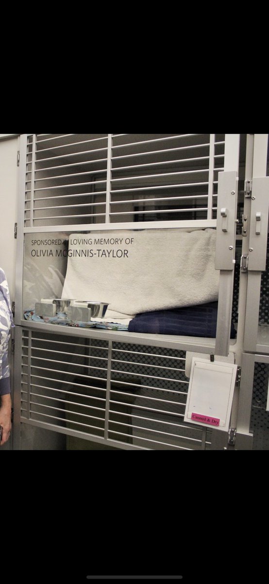 Karla Taylor tweet media