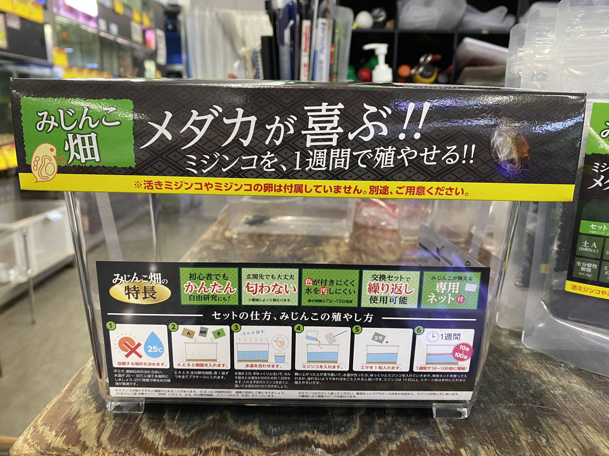 リミックスみなと熱帯魚 メダ活には必須アイテムのミジンコ培養キットが本日より店頭にて販売 致します サンプルで1つ用意して見ましたが以外と 特に何もしてない 簡単にミジンコ増えてます メダカ T Co 6apasbb0fh Twitter