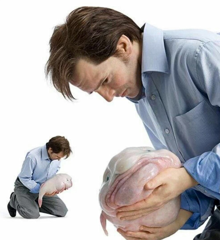 <a href="/blaseball_jazz/">Broken Ridge Jazz Hands</a> Looking at Holdens stats like