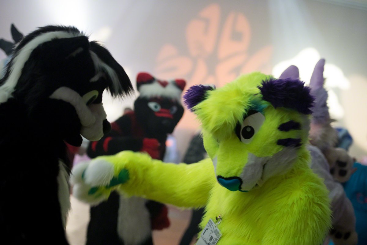 #FursuitFriday @GeminiSkunk 
📸 <a href="/Randorn/">Randorn Canis</a>