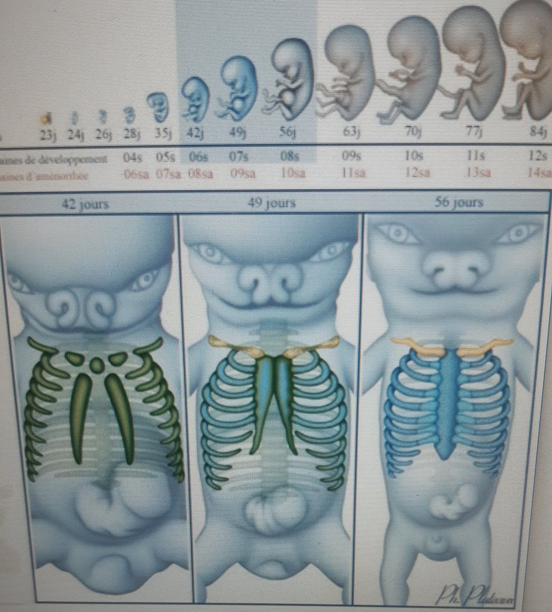 DumbMeowmeow's tweet photo. Look at these old pictures of me, what a glow up
#featus #GlowUp https://t.co/fijcx6cJxr