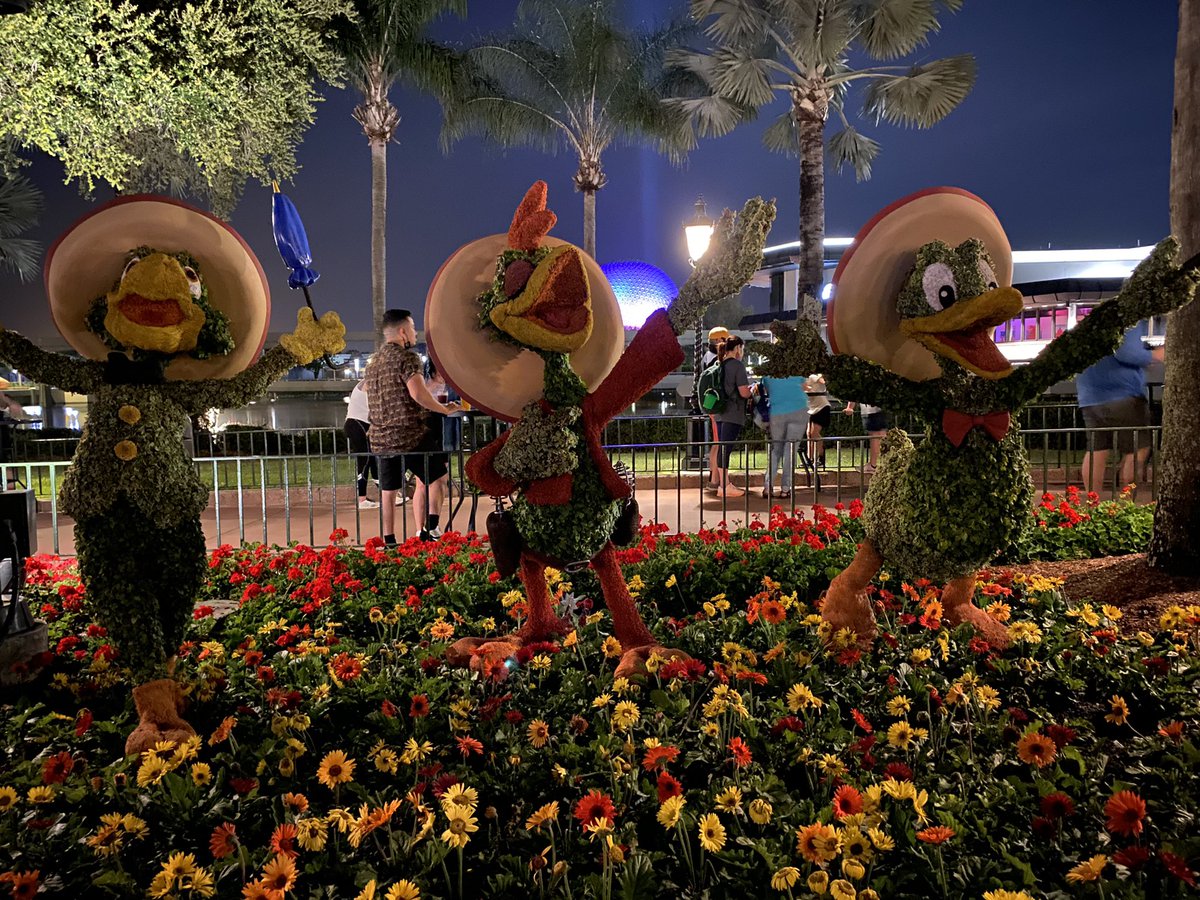 christier0408's tweet image. Flower and Garden at night is *chef’s kiss*