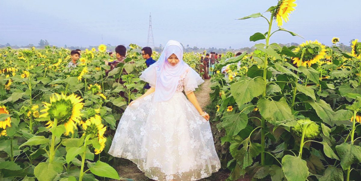 SMuNiRa6's tweet photo. I want to be like a sunflower🌻 
so, even the darkest days i will stand tall &amp; find the light.. 💡 https://t.co/OB4gpKWYb9