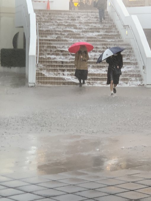 千葉大雨 大雨の影響で大荒れのディズニーで荒ぶるキャストさんの名言集 ワールドバザールに噴水あるよ プライベートビーチができました 土砂降り 3月13日 まとめ部
