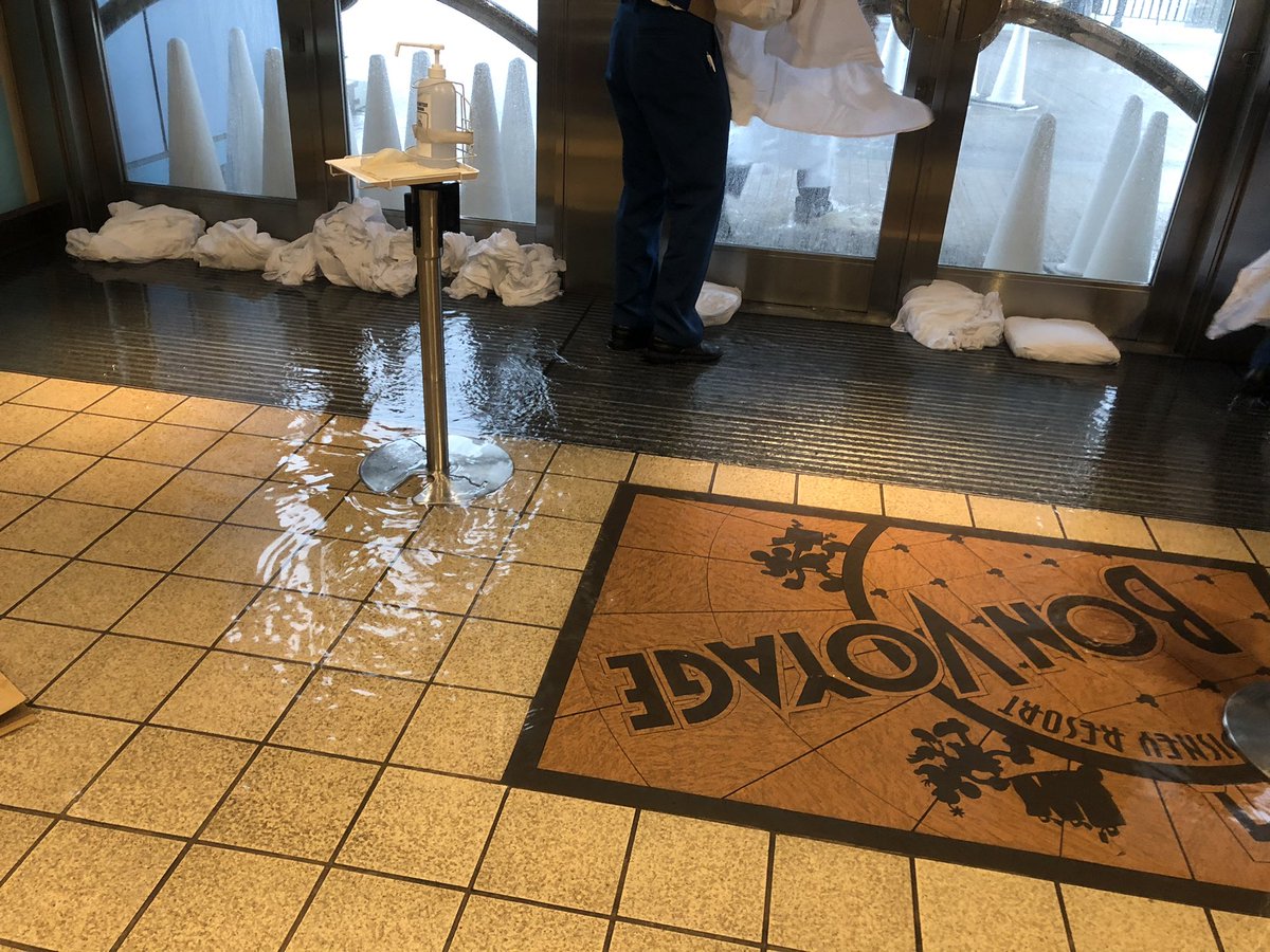 いたちょこ ディズニー ボンボヤージ冠水