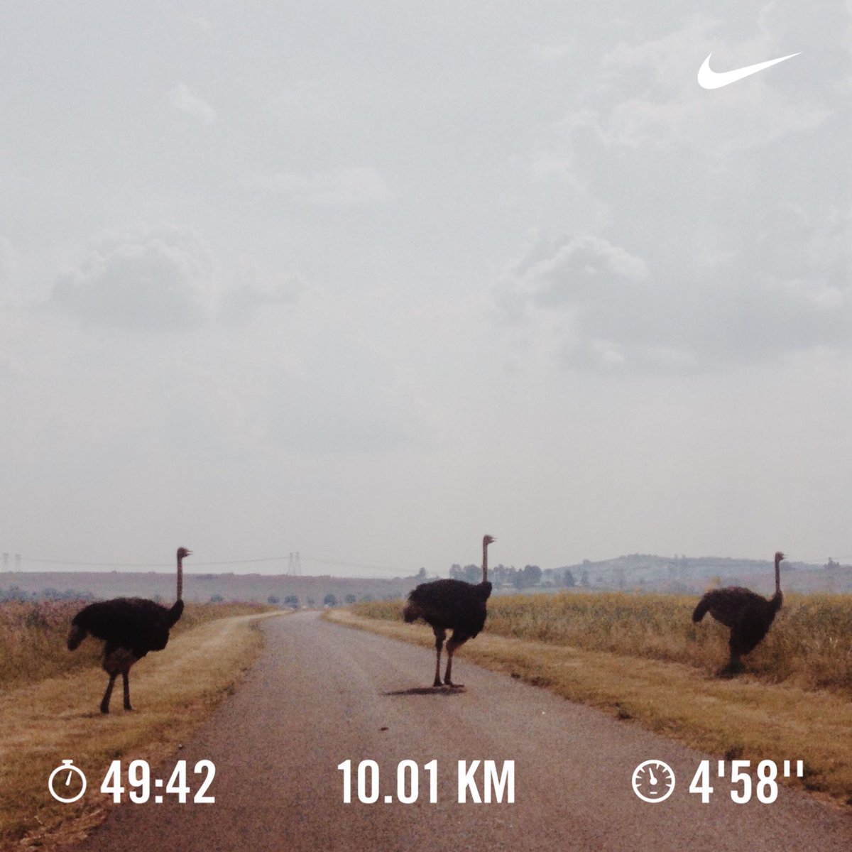 10km at 4’58” pace today. Nothing can stop me, I’m all the way up 🏃🏾‍♂️🔥

#nikerunclub #teamfitness