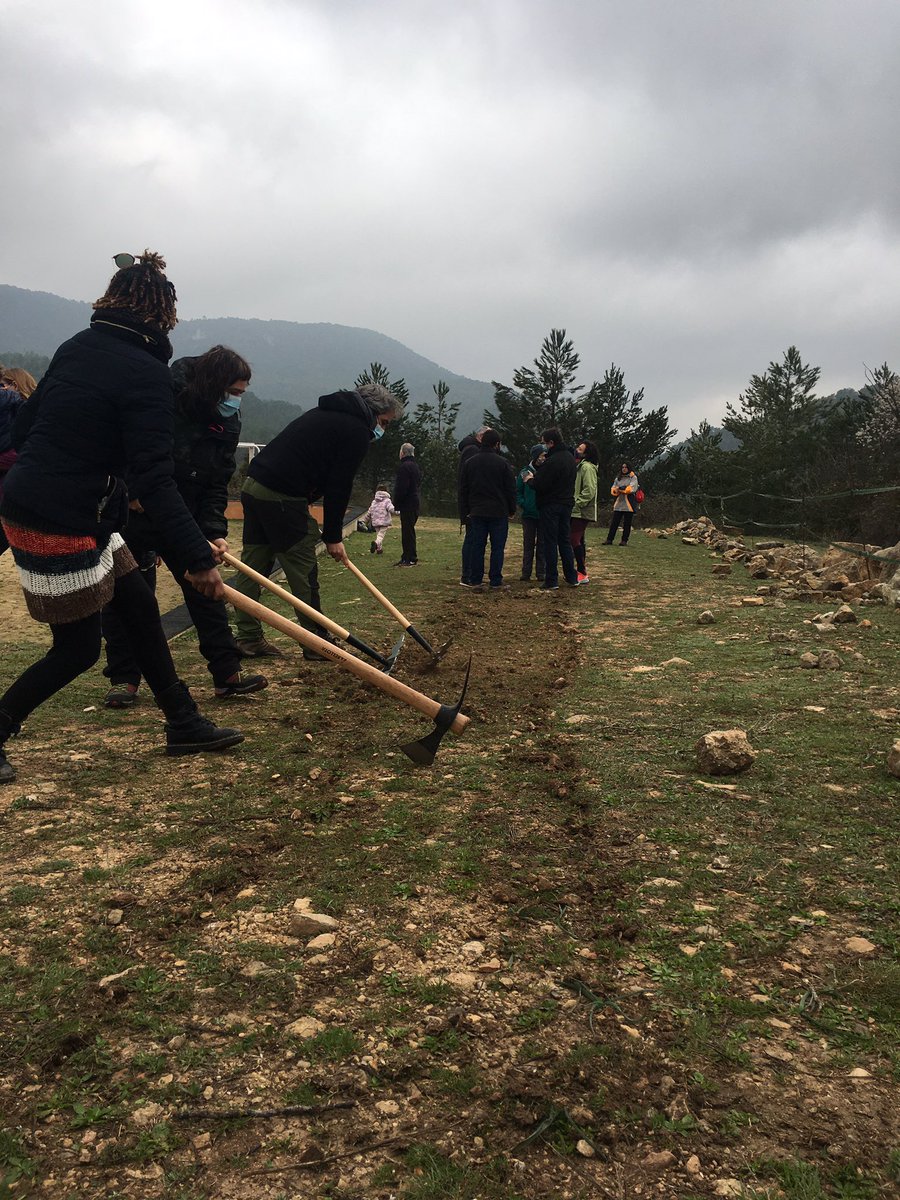 El cap de setmana passat vam realitzar la formació pràctica pel carnet verd dels primers voluntaris de la nostra ADF. Va ser tot un èxit!! Aviat podrem començar a fer tàsques de manteniment pels nostres boscos! 💪🏼🚜🚜 <a href="/sfadfcat/">SFADF</a>
