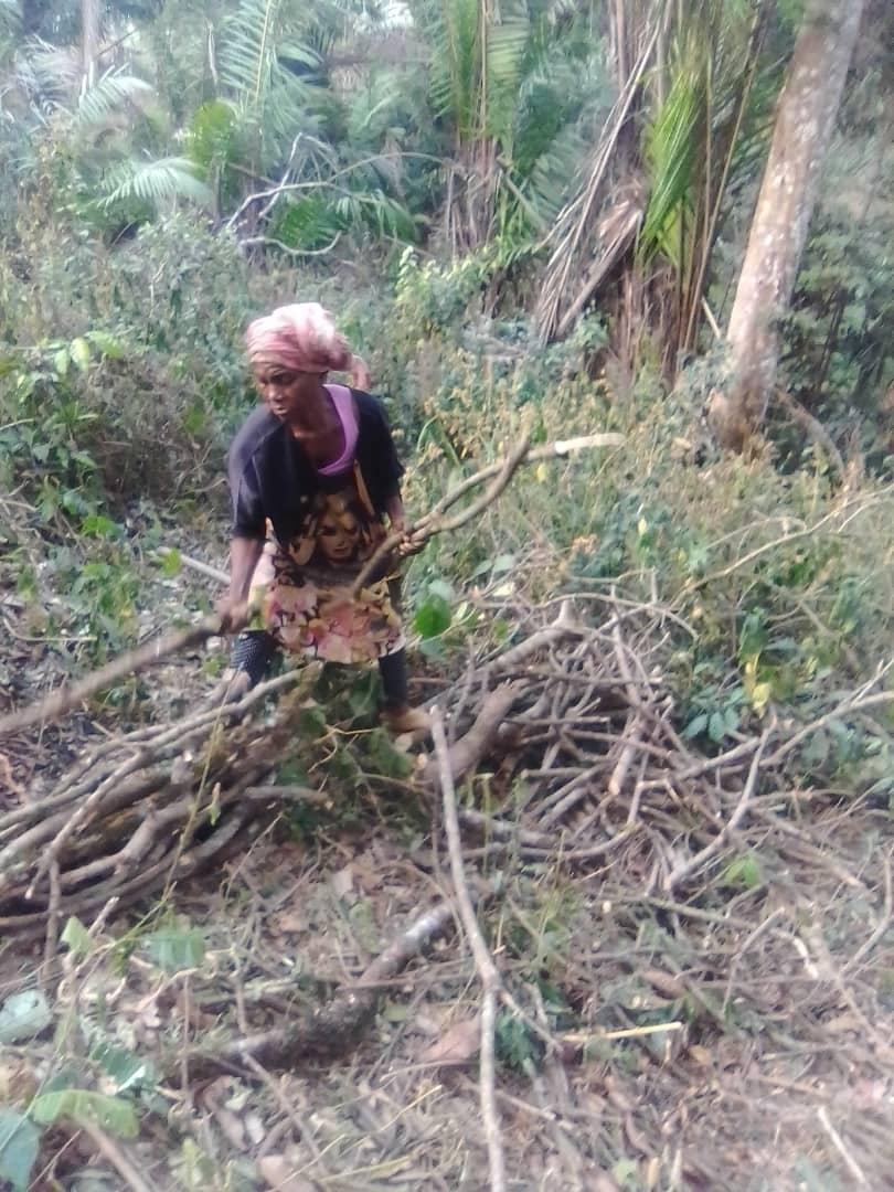 1_billiontrees's tweet photo. For some clarity yet unknown, the #GreatGreenWall isn't only about growing trees, it's largely abt growing livelihoods out of poverty and building communities' resilience to disasters &amp; climate risk

Ask @tangem2009
@ibrahimthiaw @MumbaMusondam @ThandieMwape @TabiJoda1 @MarDieye https://t.co/JjzYtxNeba