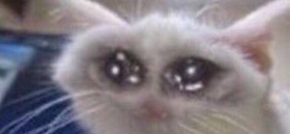 𝙳𝙾𝙿𝙿𝙴𝙻𝙶𝙰𝙽𝙶𝙴𝚁 (@transformeds0ul) on Twitter photo 