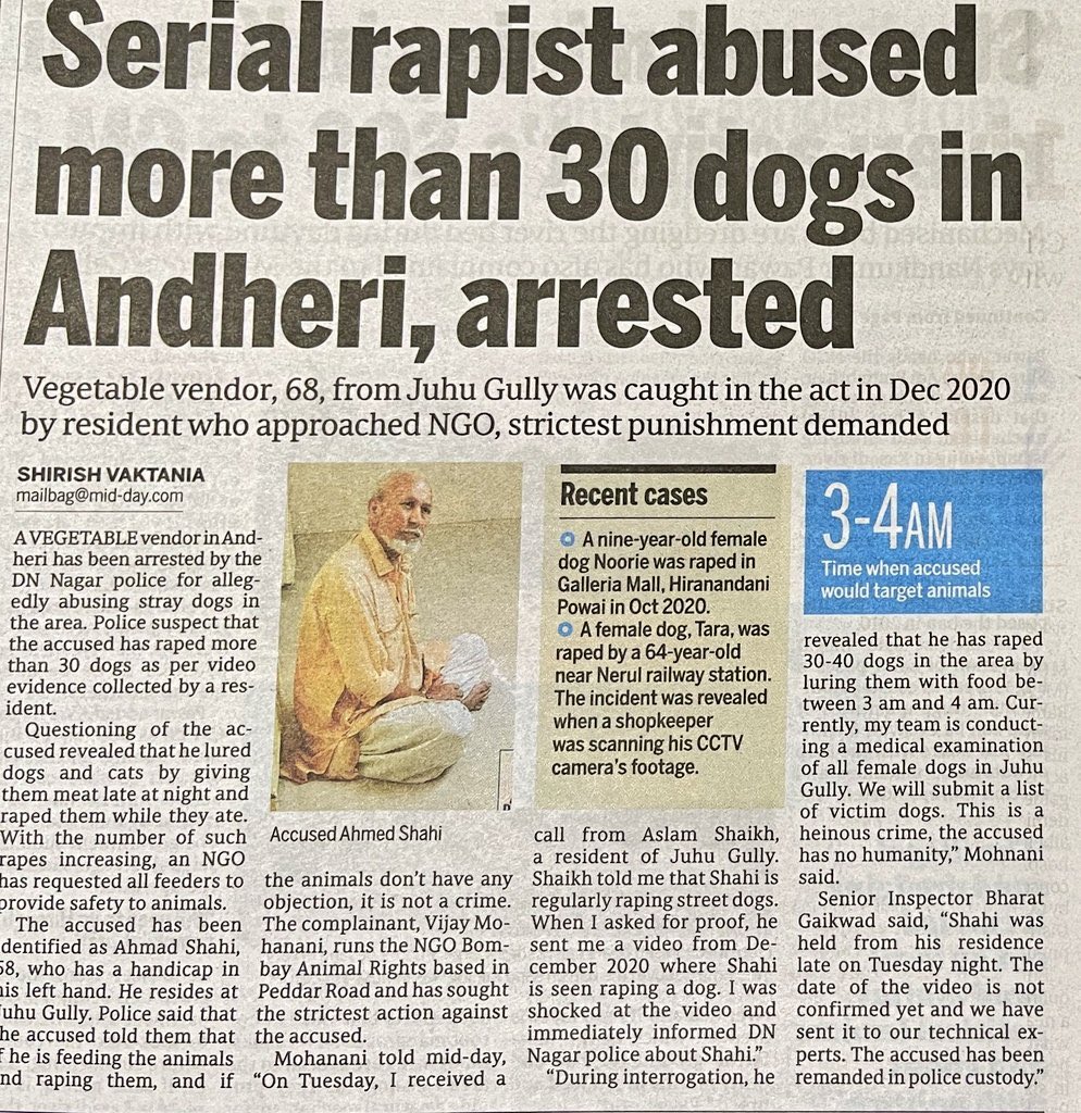 tween dog sex 68 year old Ahmed Shah r@ped 30 stray dogs. 30!  No one is safe under the sex crazed evil cult, not men, not women, not  children, not