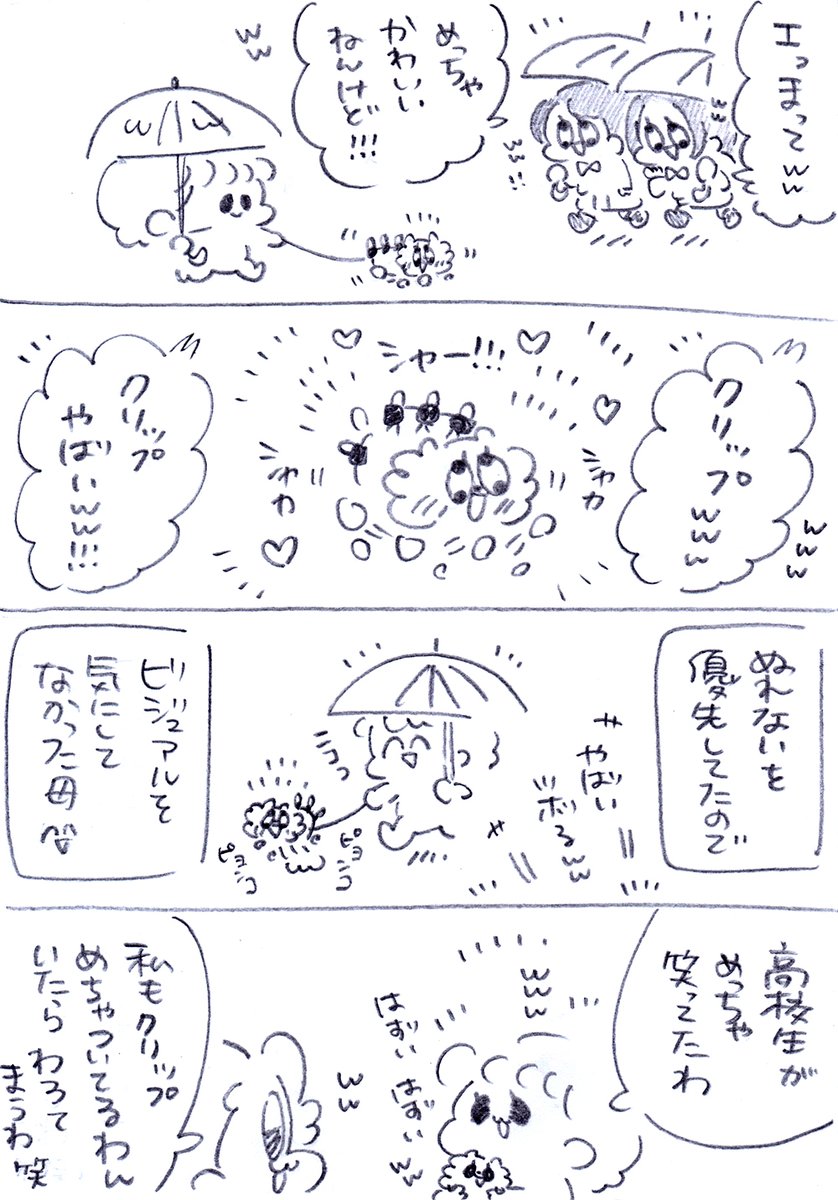 雨の日のぽぷちん 