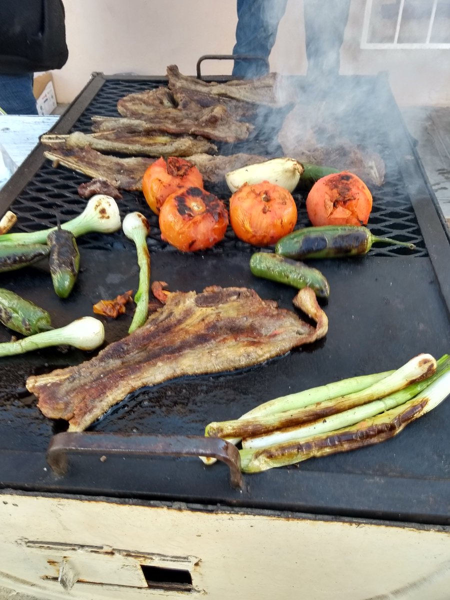 casas_esteban's tweet photo. Que andas haciendo loco 🤤 #aguja #Diezmillo #Sonora https://t.co/Xdb4Sz0nSi